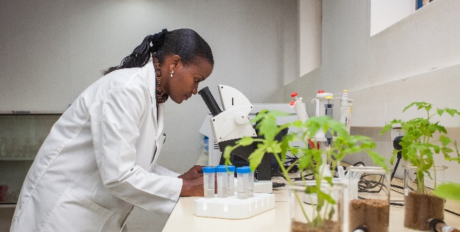 Woman looking into microscope with plants in foreground