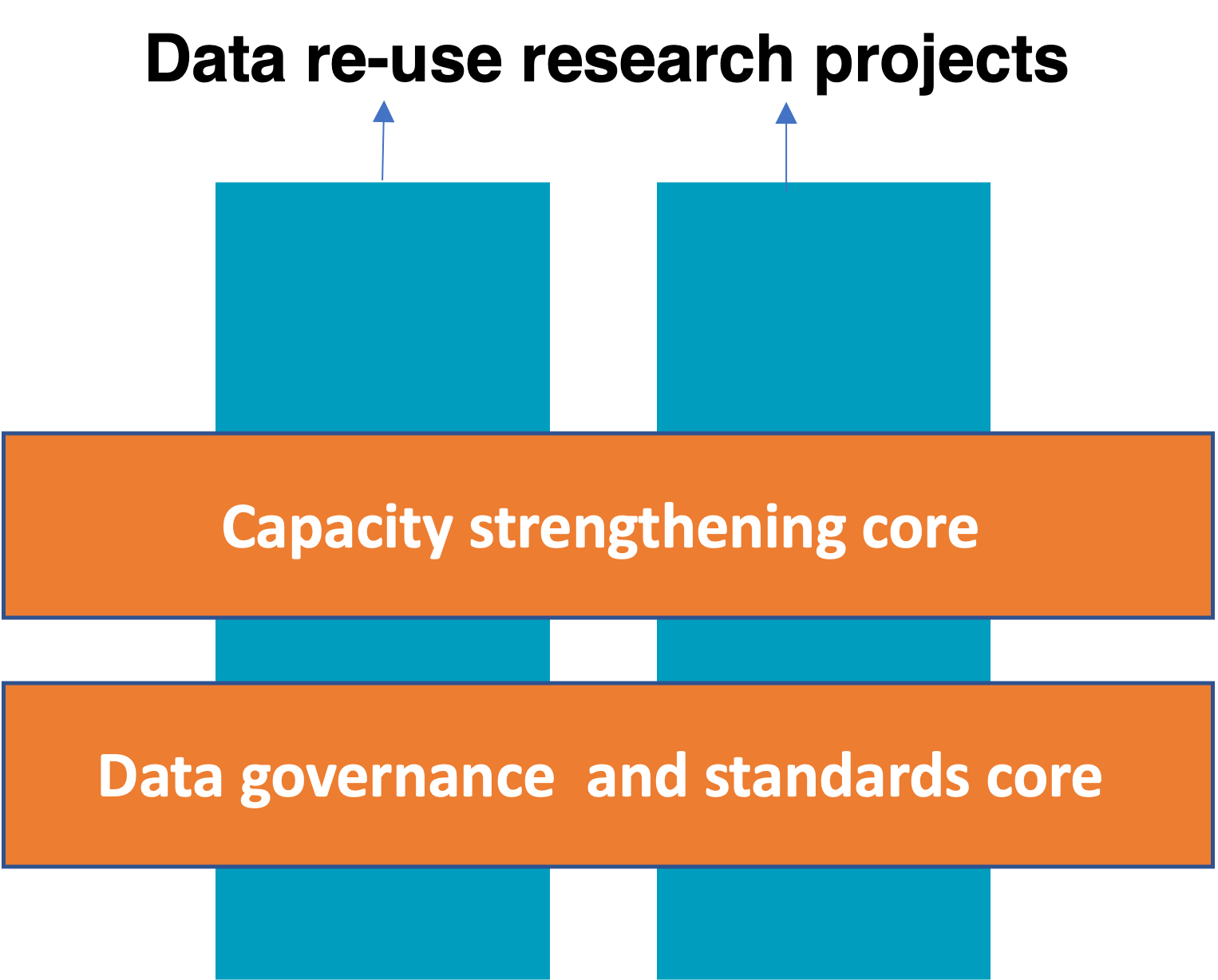 Strengthening Data Science Capacity and the Ecosystem Diagram