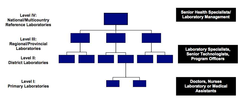 A presentation slide showing 4 levels of laboratories and an organizational chart diagram