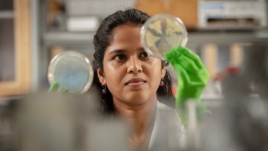 Gram-Negative Antibiotics RFP