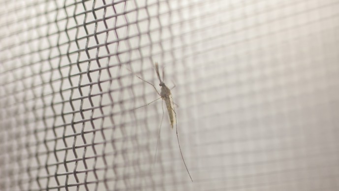 GC China Malaria Challenge