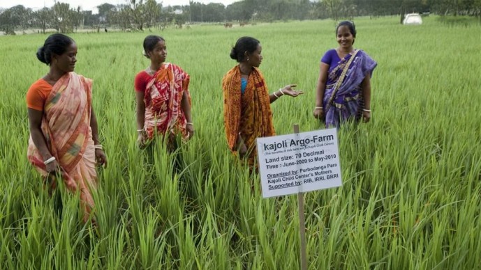"Grabbing a Coffee" with the Smallholder Farmer