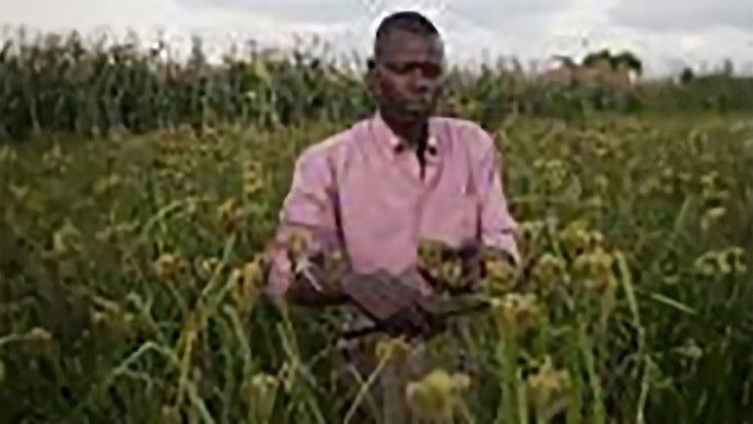 How We Review Grand Challenges Proposals