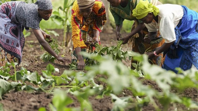 Innovation For Farmers
