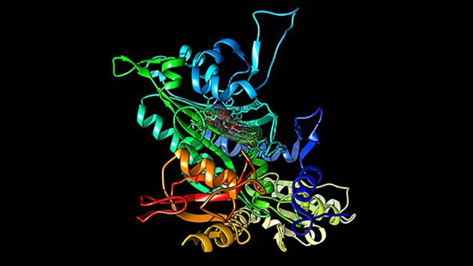 New Approaches for the Interrogation of Anti-Malarial Compounds (Round 10)