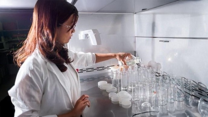 Scaling impact: The next great challenge in global health and development innovation