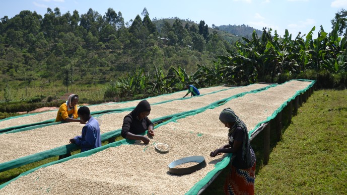 Innovations in Feedback and Accountability Systems for Agricultural Development