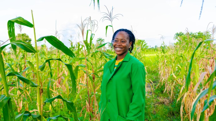 African Agriculture Climate Adaptation Research System