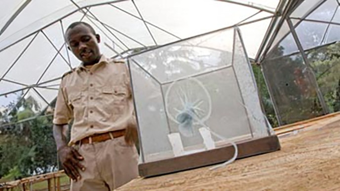 Develop a Biological Strategy to Deplete or Incapacitate a Disease-transmitting Insect Population