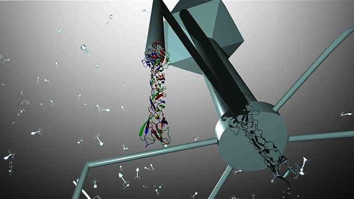 bacteriophage-mediated-microbiome-engineering.1230b544-%281%29.jpg