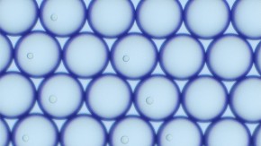 2025 Grand Challenges Annual Meeting Call-to-Action - Dekosky