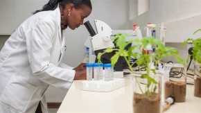 African Innovation for African Challenges