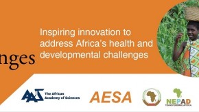 Africa's Innovators for Africa's Challenges