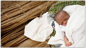 /sites/default/files/styles/listing_image/public/Healthy%20Birth?itok=wWa1jNiN