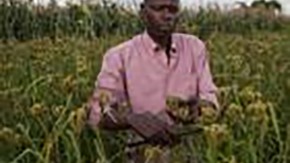 How We Review Grand Challenges Proposals