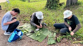 /sites/default/files/styles/listing_image/public/Genome%20Structure-Based%20Banana%20Breeding%20in%20Southeast%20Asia%20Blog?itok=r8kw9hG_